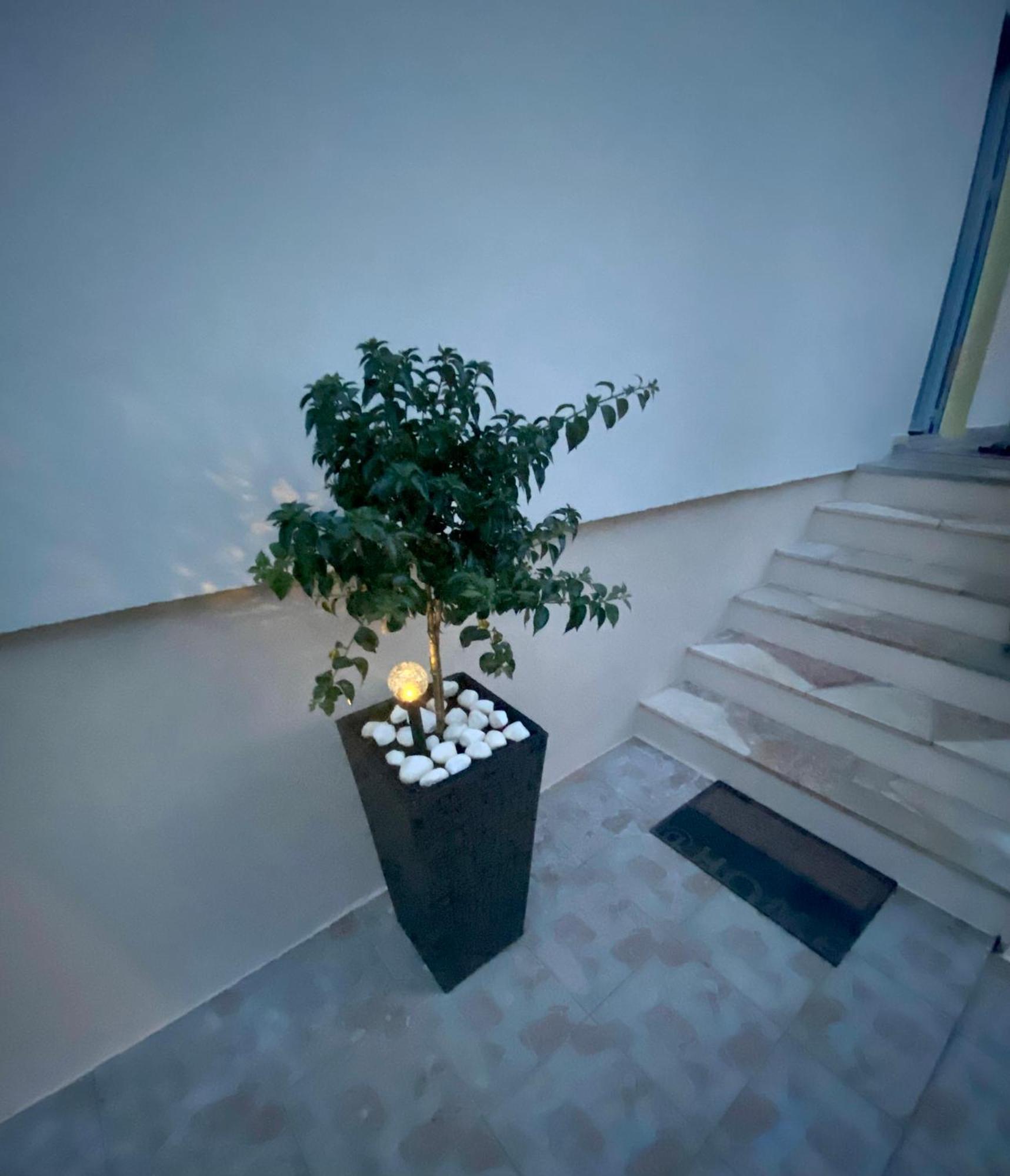 Lumar Holidays And Apartments Preko Exterior foto